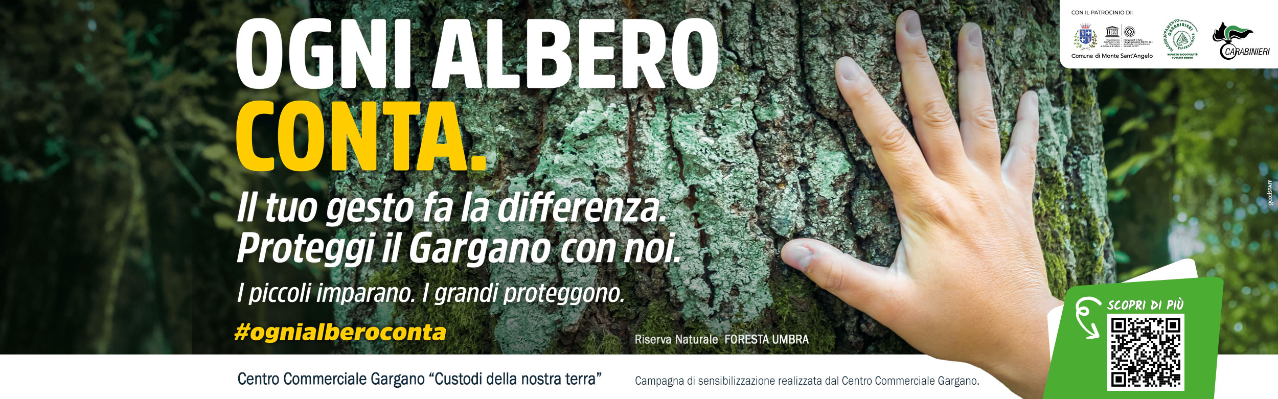 Ogni Albero Conta - Slide Desk