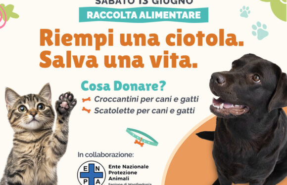 Riempi una ciotola. Salva una vita. Riempi una ciotola. Salva una vita.