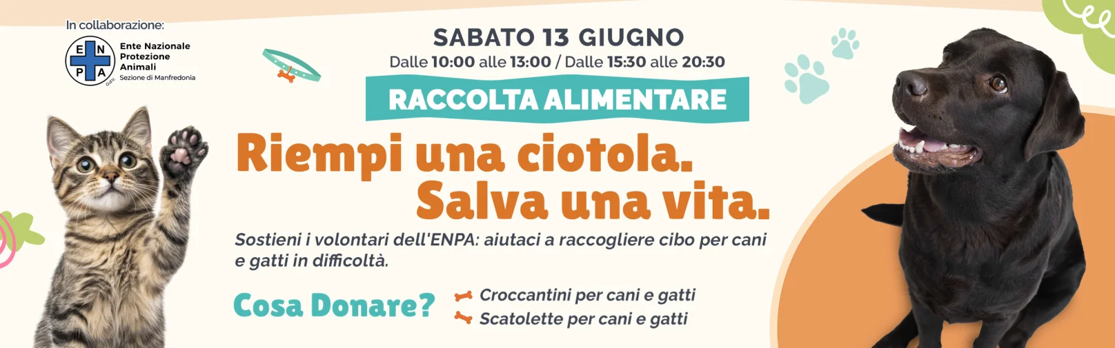 raccolta alimentare - enpa - slide desk